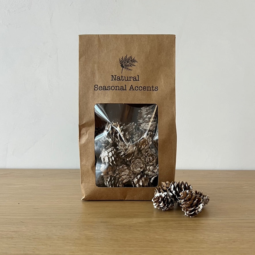 Dried Natural Pinecones