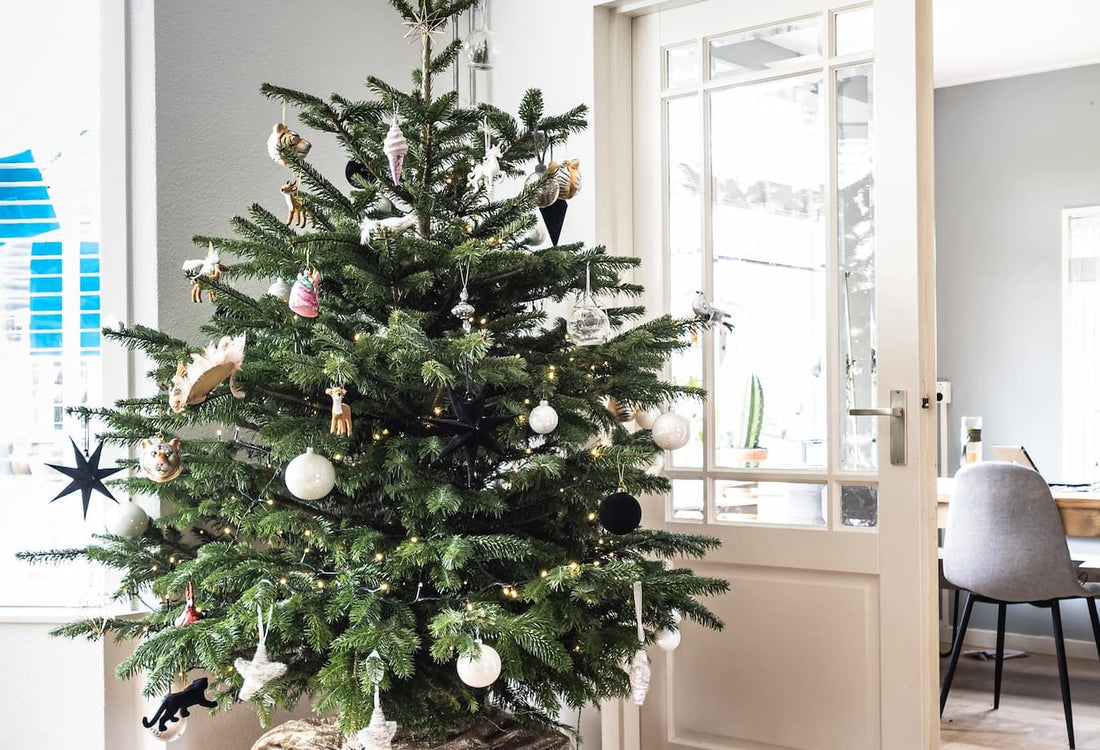 Transform Your Space: 6 Simple Steps to Prepare Your Home for Christmas