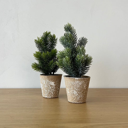 Faux Pine Tree in Paper Mache Pot