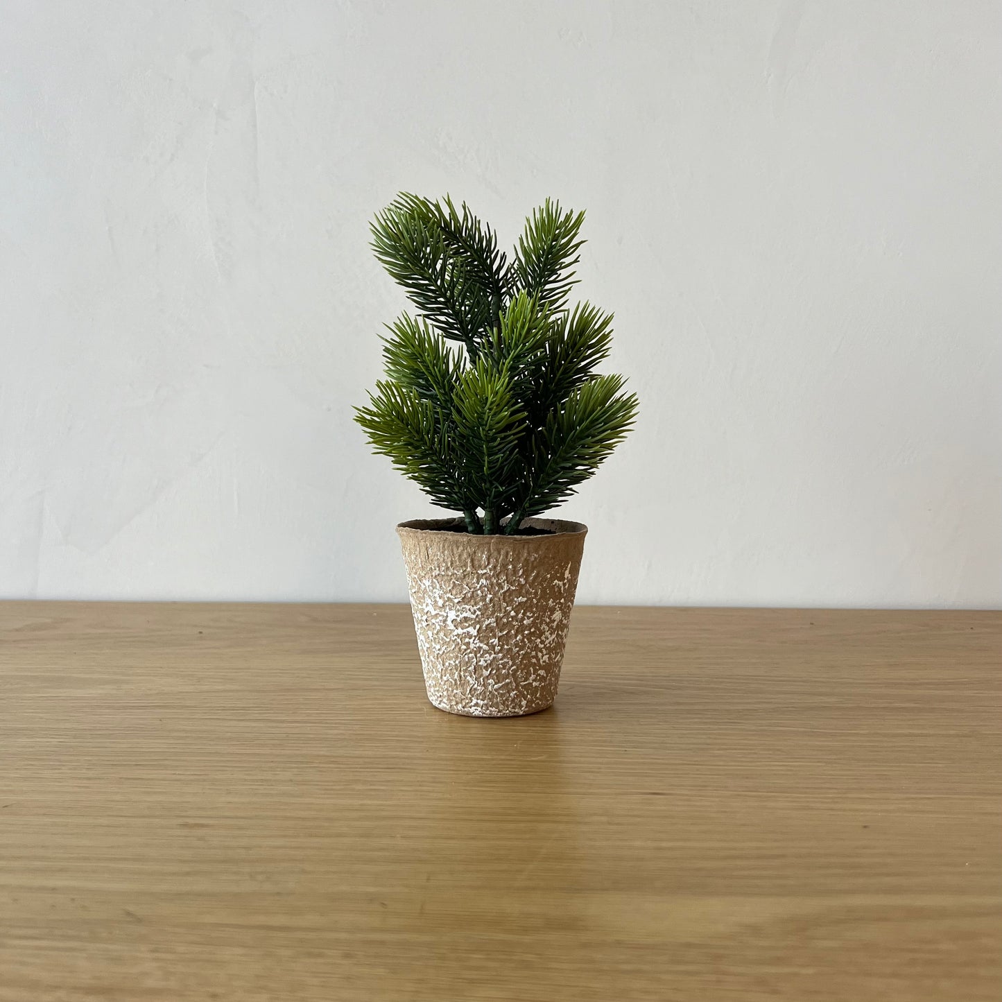 Faux Pine Tree in Paper Mache Pot