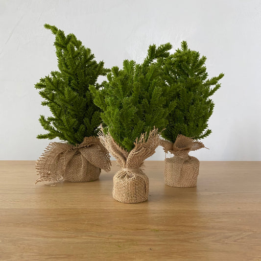 Faux Cedar Tabletop Tree