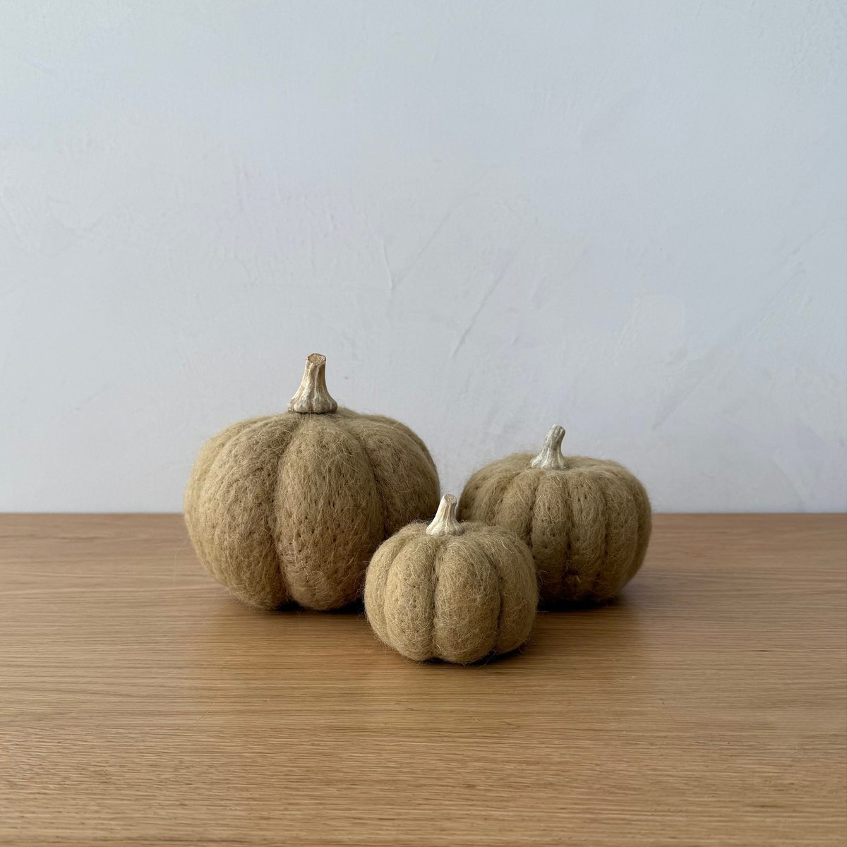 Moss Felt Pumpkins
