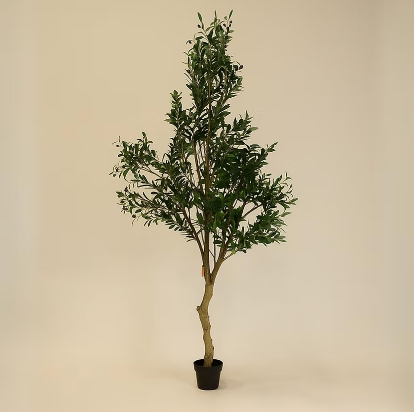 Olivier artificiel Hauer Market avec pot vintage Easton