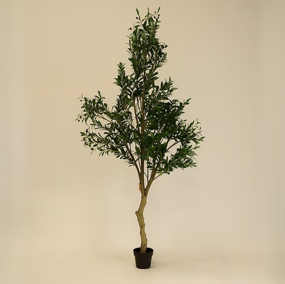 Olivier artificiel Hauer Market avec pot vintage Easton
