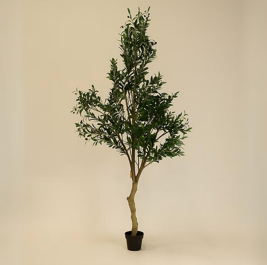Olivier artificiel Hauer Market avec pot vintage Easton