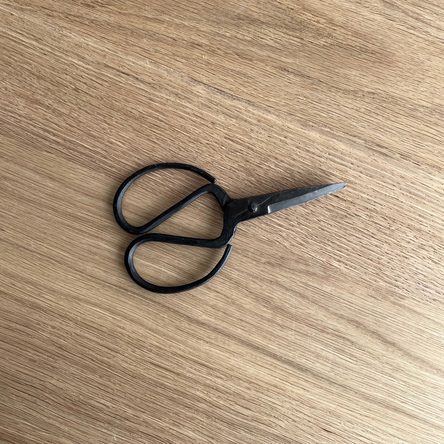 June Household Scissors